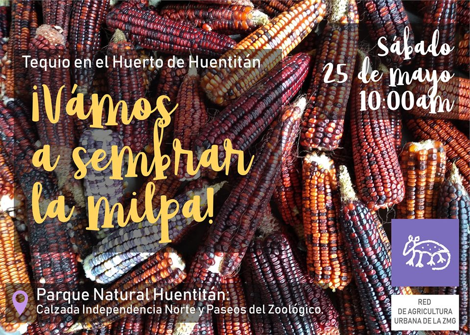 Huerto Comunitario Huentitán